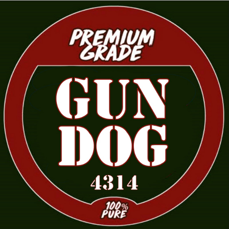 gundog4314