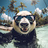 43pMZiVAQUE-channel-avatar-Nick From Florida