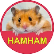 Hamster Japan