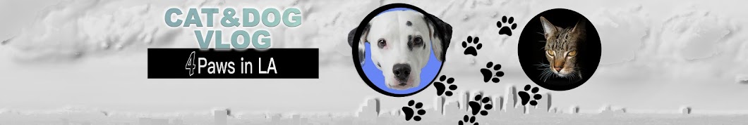 4 Paws in LA YouTube channel avatar