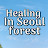 Healing In Seoul Forest (K-Pop Star Bench)