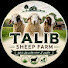 9VVozIujsQ8-channel-avatar-Talib Sheep farming 