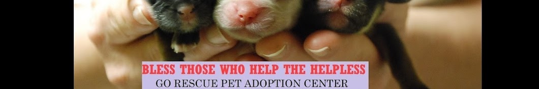 GO RESCUE Pet Adoption Center Avatar de chaîne YouTube