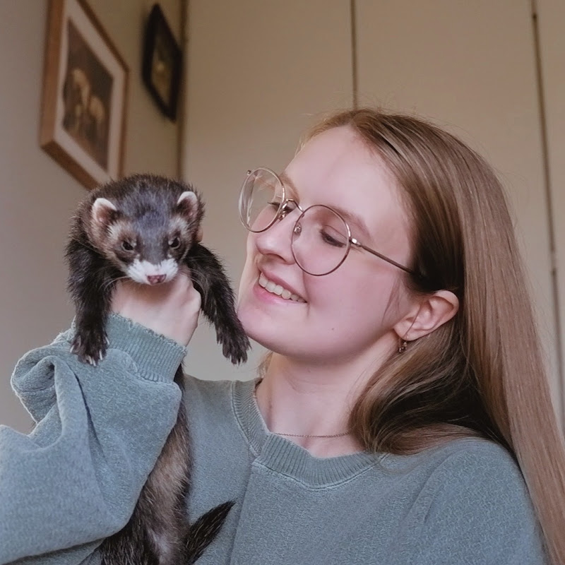 Pazuandfriends