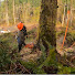 r751koYavtQ-channel-avatar-TimberHill