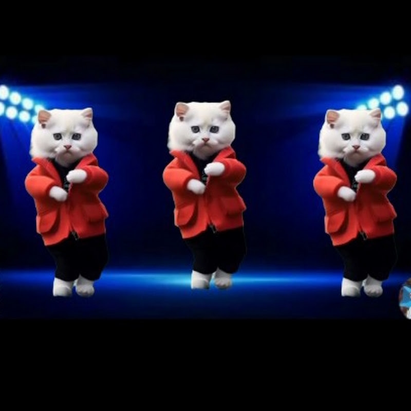 TalkingTom1813