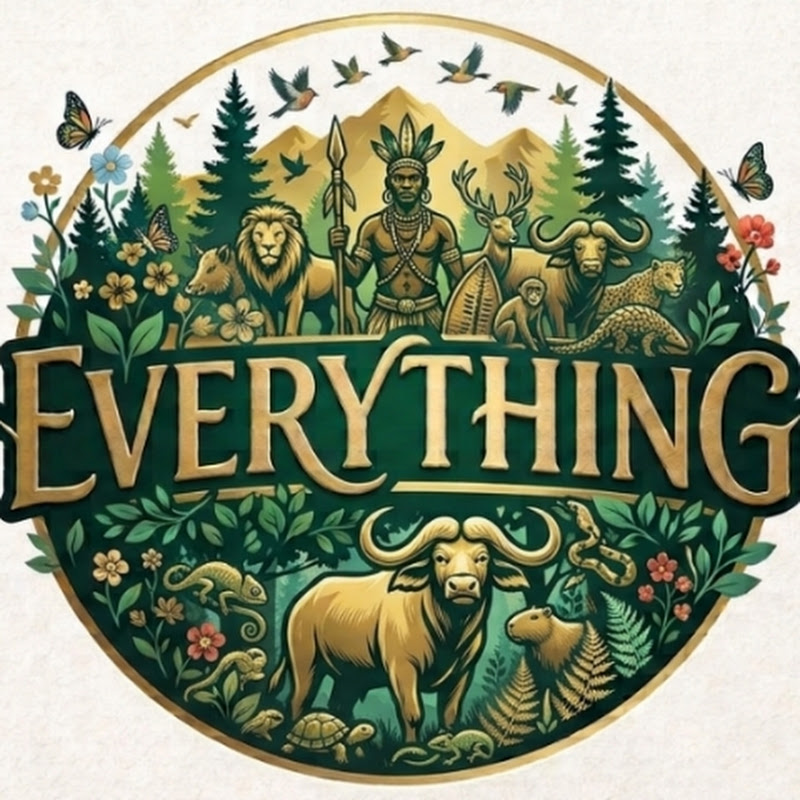 Every thing