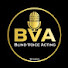 TMmwP_c2R2U-channel-avatar-b v a studio 