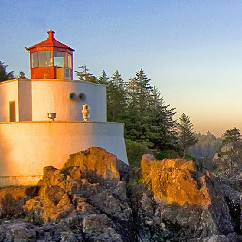 Entretenimento e mais Gotza