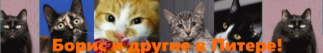 Ð‘Ð¾Ñ€Ð¸Ñ Ð¸ Ð´Ñ€ÑƒÐ³Ð¸Ðµ. Boris and others in St-Petersburg YouTube channel avatar