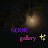 @_NOOR-gallery