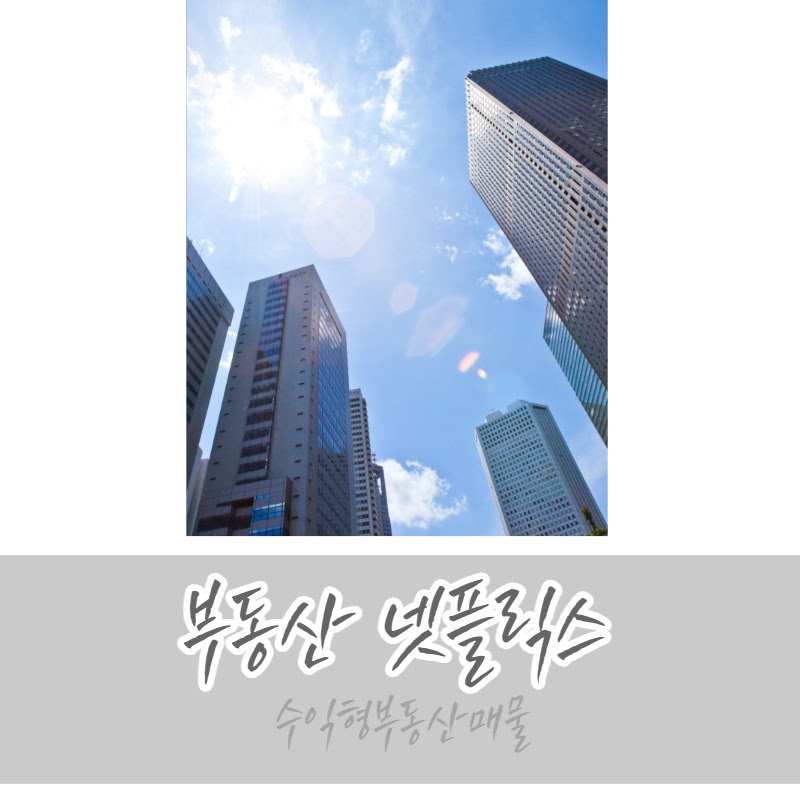 부동산넷플릭스