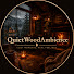 ZXFBUl9Nx5k-channel-avatar-QuietWoodAmbience