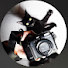 PUGt6G4R5V8-channel-avatar-Lens & Paws