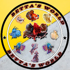 Bettas world channel logo