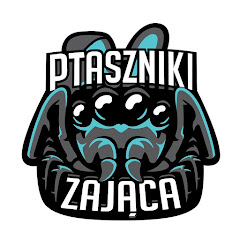 Ptaszniki Zająca