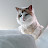 @조7복이