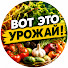 DEEbDa51qoc-channel-avatar-Вот Это Урожай!