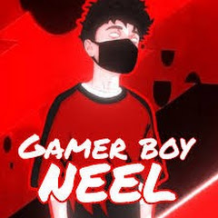 Gamer Boy Neel net worth