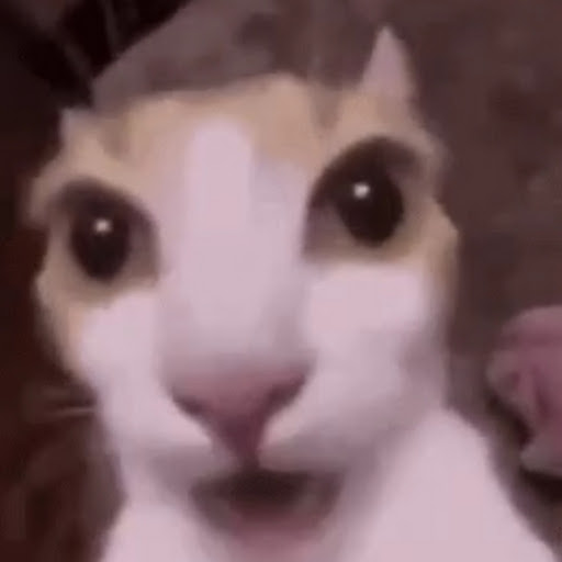 チャンネル画像