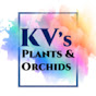 KV's Plants & Orchids logo