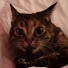LXocZEKJye0-channel-avatar-Fairly Funny