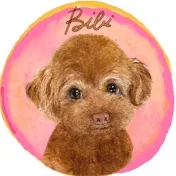 トイプードルのビビ