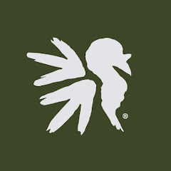 NWTFonline