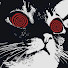 KCVbMHBC9_Q-channel-avatar-Kipphz