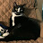 Avatar photo