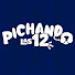 Rm62oRPGeps-channel-avatar-Pichando Las 12