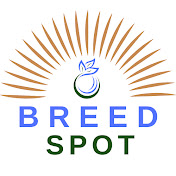 BreedSpot - Spotting the best dog breeds