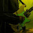 @Jedidiahguitar's avatar