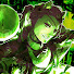 rr0MNEqgHg4-channel-avatar-Kela🐾!!