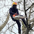 hrHcPtqZ-7k-channel-avatar-Parfait Nathan Arboriste