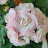 @보보제리