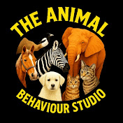 The Animal Behavior Studio