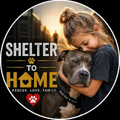 Shelter To Home