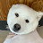 @woory_