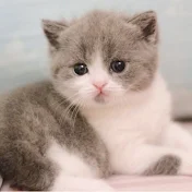 スカッとぺんいち