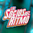 Los Socios del Ritmo Oficial