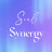 Soul Synergy