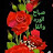 @user-nn8ry1fi8j