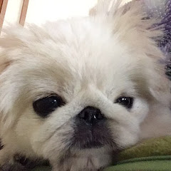 いちごアレルギー