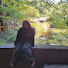 KNOOXteSM1o-channel-avatar-Alex
