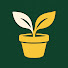 H9ghPVVSkiE-channel-avatar-Jardim e Horta em Vasos
