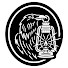JMtkD4uJqW4-channel-avatar-Hidden Light