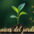 O3hexaj7HnM-channel-avatar-Raices del jardin 