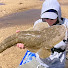 9kCRlJjEuyE-channel-avatar-Willy'sfishing