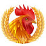 _Al-1wSVoq0-channel-avatar-Village Story